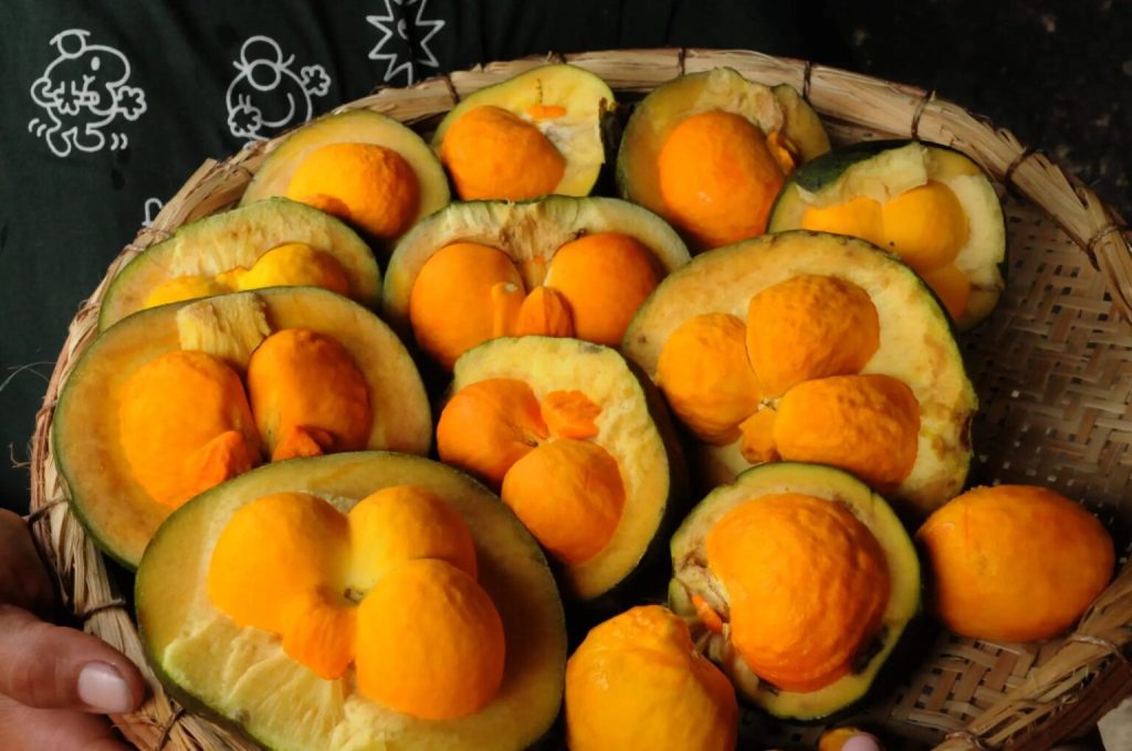 WhatsApp-Image-2024-10-18-at-07.55.48-1536x1020