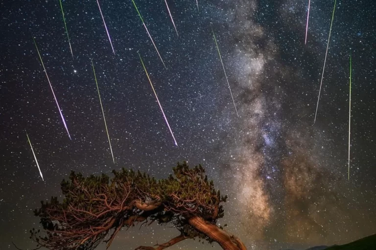 chuva-de-meteoro-reproducao