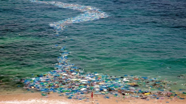 056-061_plasticos-mar_321-0-1140